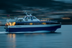 31406 Hardangerprins i fart 2