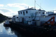 Leroy_Fiskeoppdrett_1